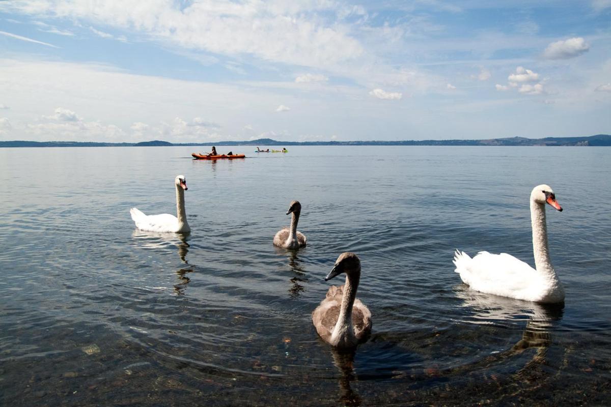Agriresidence L'Antica Fattoria - Sul Lago Bolsena Eksteriør billede