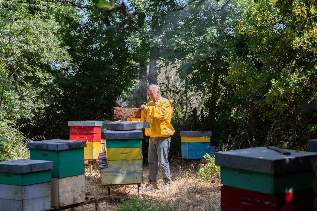 Agriresidence L'Antica Fattoria - Sul Lago Bolsena Eksteriør billede