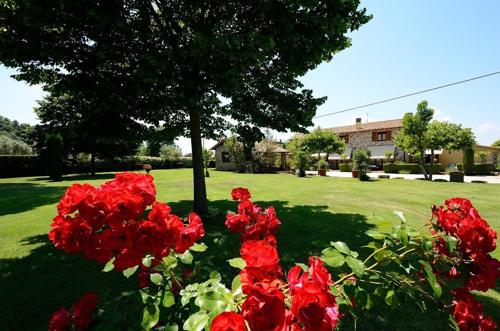 Agriresidence L'Antica Fattoria - Sul Lago Bolsena Eksteriør billede